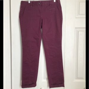 LOFT Plum Marisa Pants Size 4 Cotton/Spandex